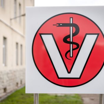 Rundgang Tierarztpraxis